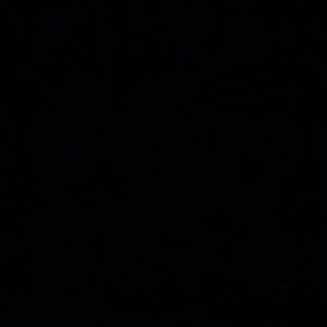 Meet your Posher, Terrion